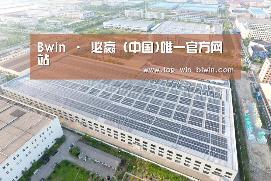 案例展示二