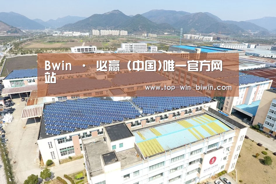 案例展示四