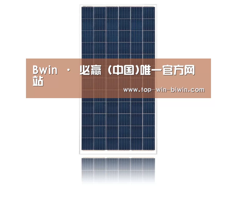 产品名称一