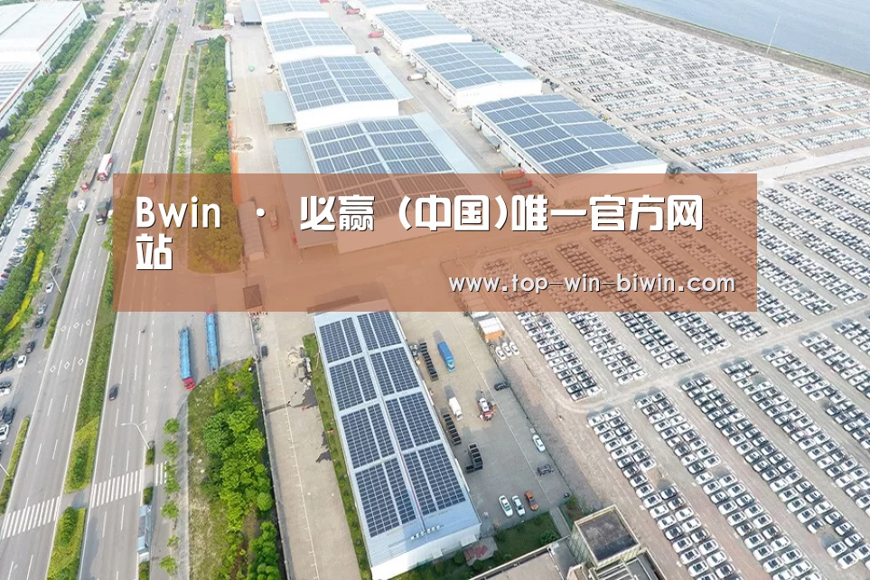 案例展示四